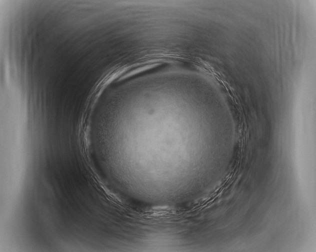 X0000116100050200911301111