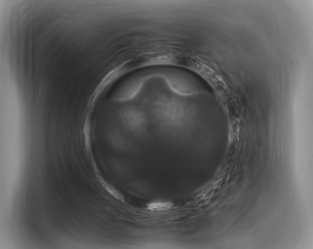 X0000116100051200911301111