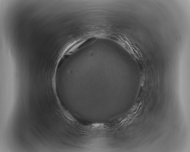 X0000116100052200911301111