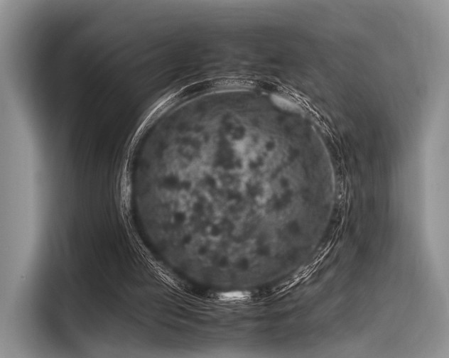 X0000116100053200911301111