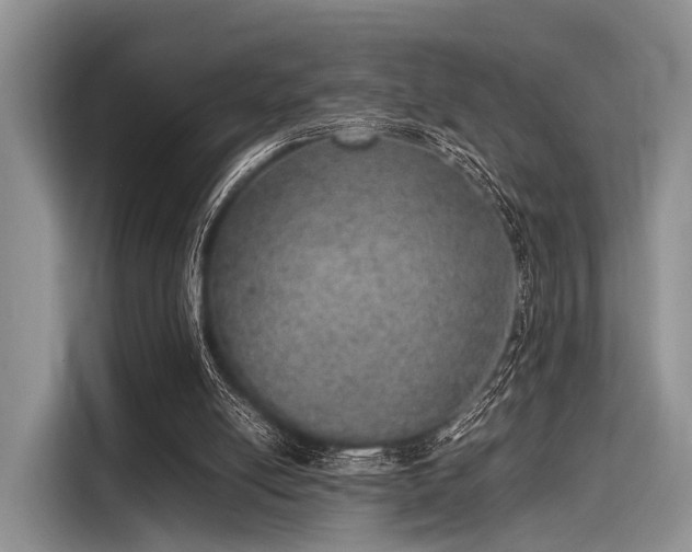 X0000116100054200911301111