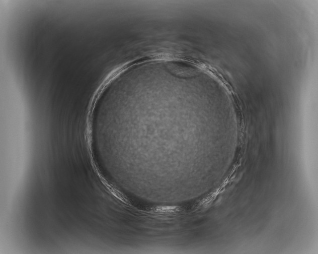 X0000116100055200911301111