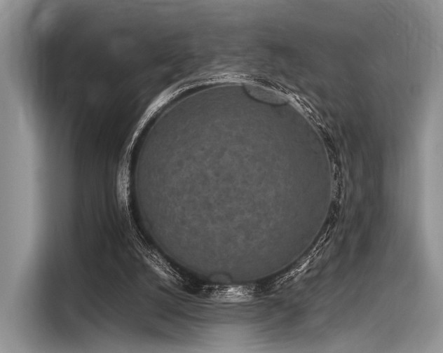 X0000116100056200911301111