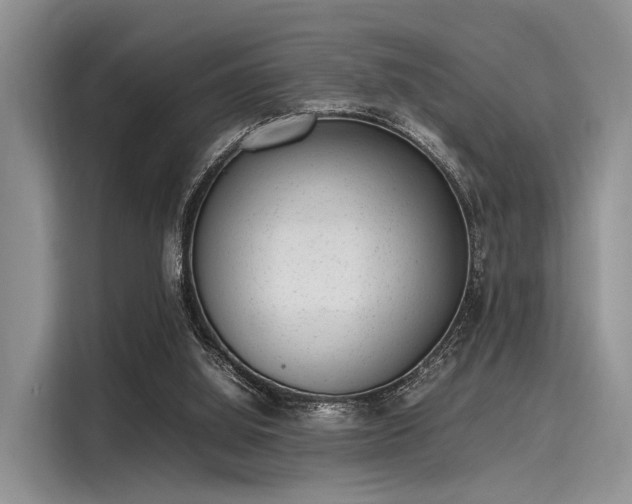 X0000116100060200911301111