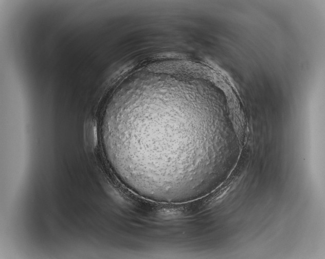 X0000116100061200911301111