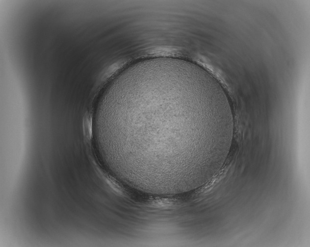 X0000116100062200911301111