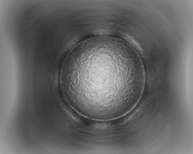 X0000116100065200911301111