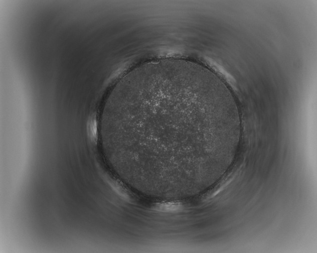 X0000116100067200911301111