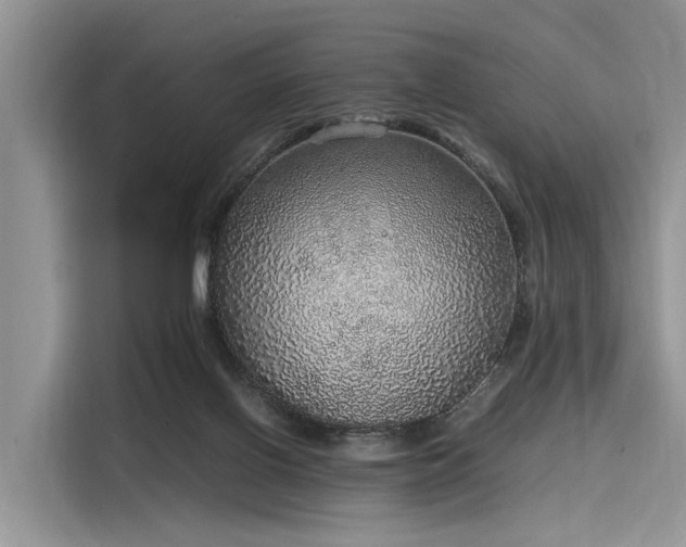 X0000116100070200911301111