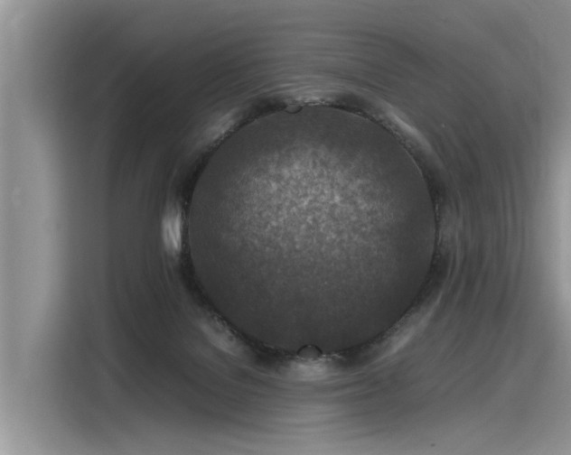 X0000116100076200911301111