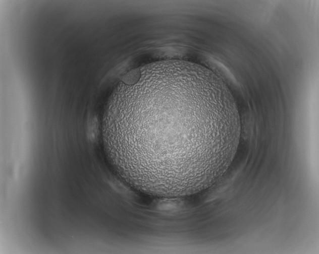 X0000116100077200911301111