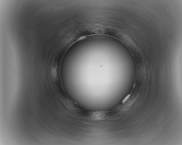 X0000116100088200911301111