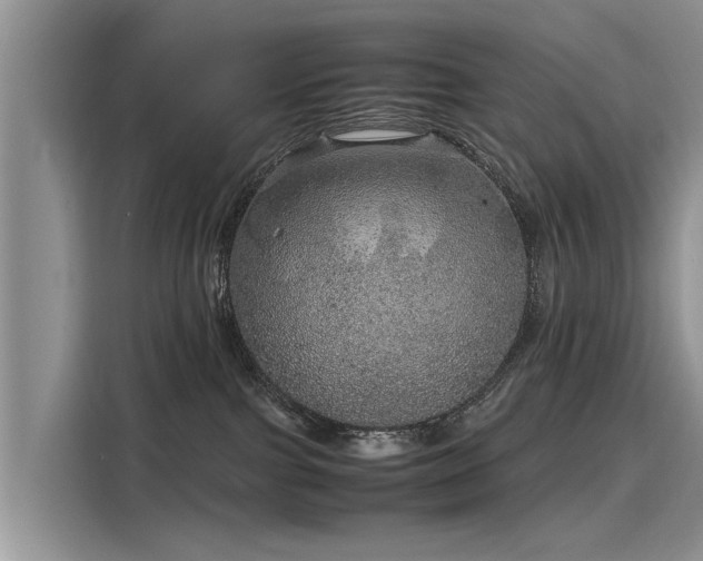 X0000116100091200911301111