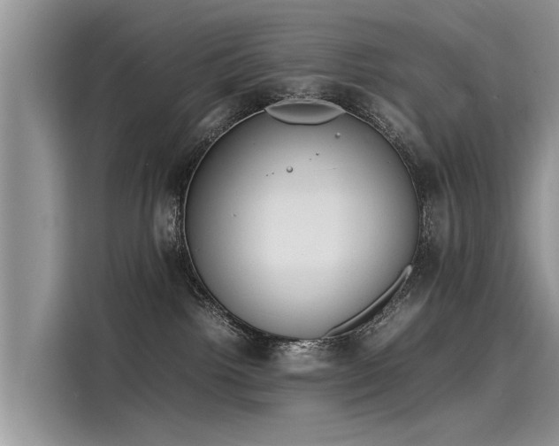 X0000116100092200911301111