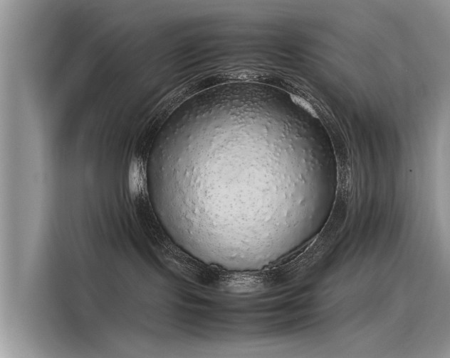 X0000116100095200911301111