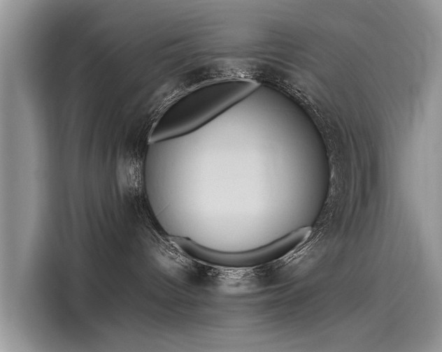 X0000116100096200911301111