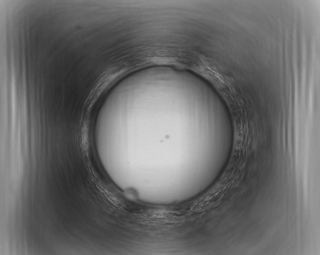 X0000116100098200911301111