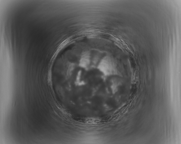 X0000116100099200911301111