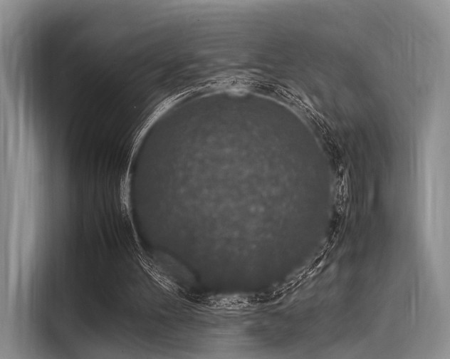 X0000116100100200911301111