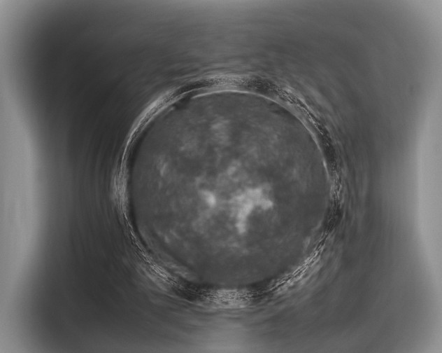 X0000116100101200911301111