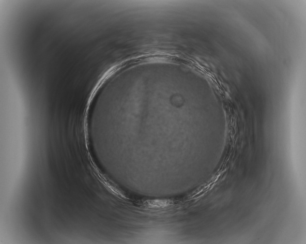 X0000116100102200911301111