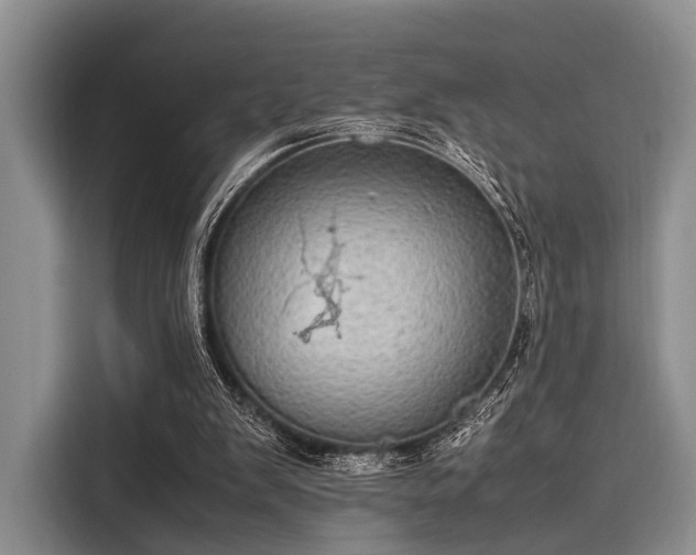 X0000116100103200911301111