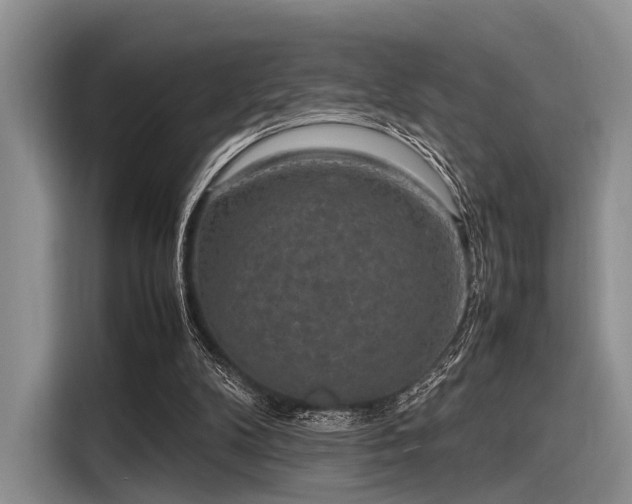 X0000116100104200911301111