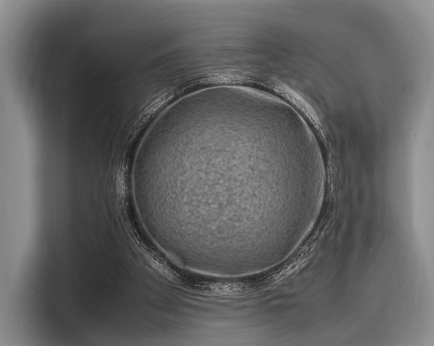 X0000116100105200911301111