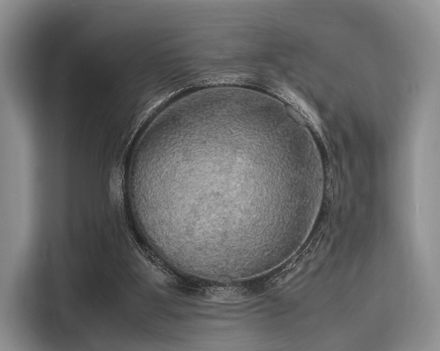 X0000116100107200911301110