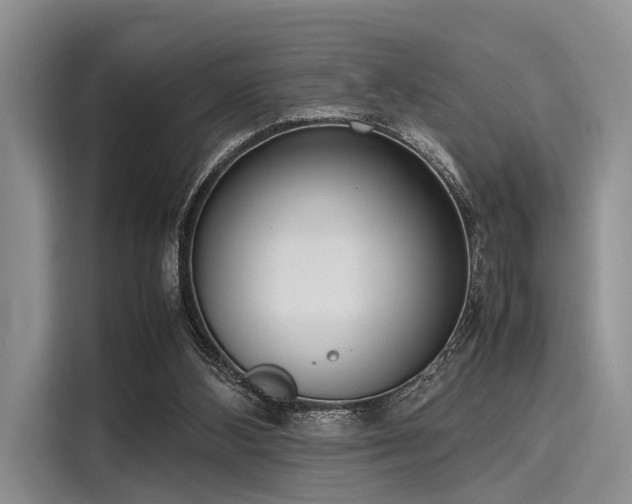 X0000116100108200911301110