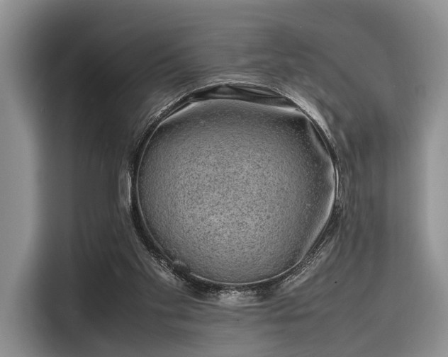 X0000116100109200911301110