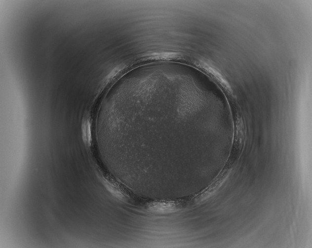 X0000116100110200911301110