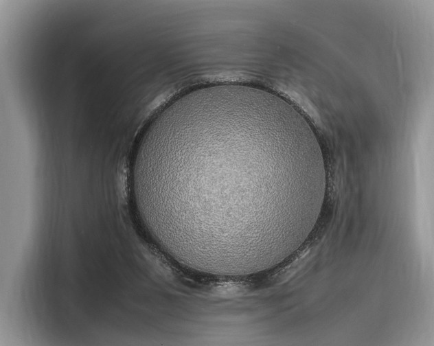 X0000116100111200911301110