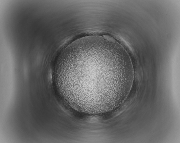 X0000116100115200911301110