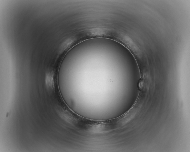 X0000116100116200911301110