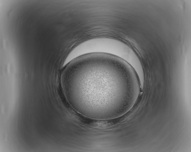 X0000116100121200911301110