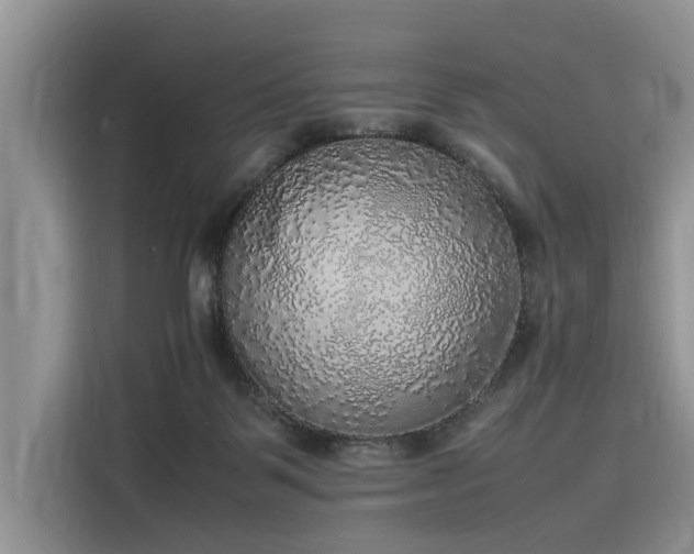 X0000116100123200911301110