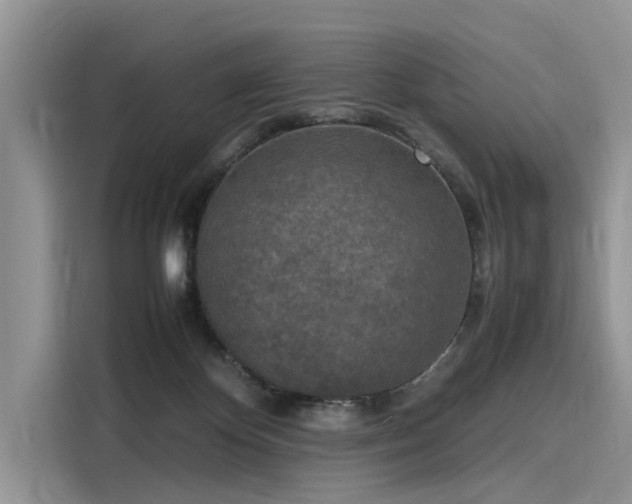 X0000116100124200911301110