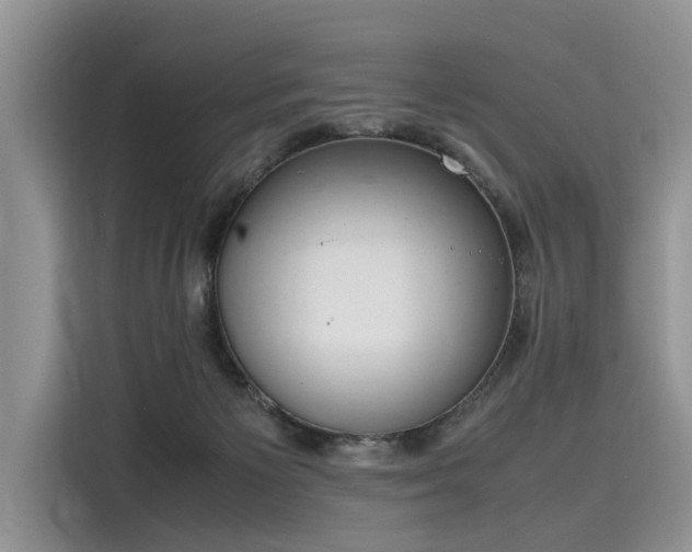 X0000116100125200911301110