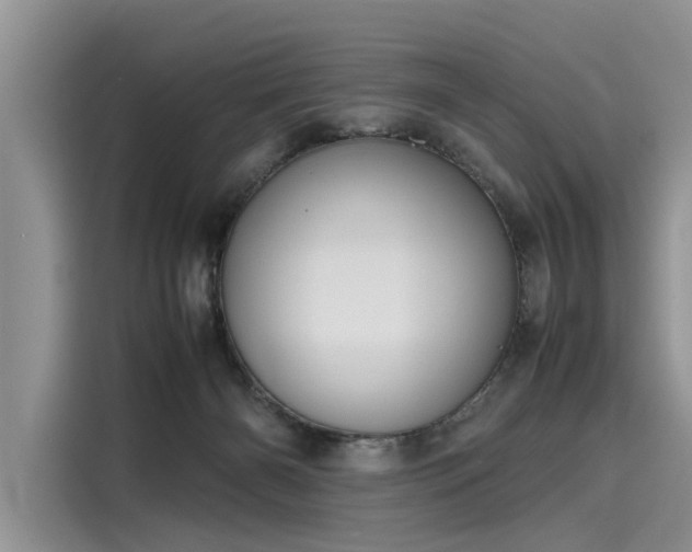 X0000116100126200911301110