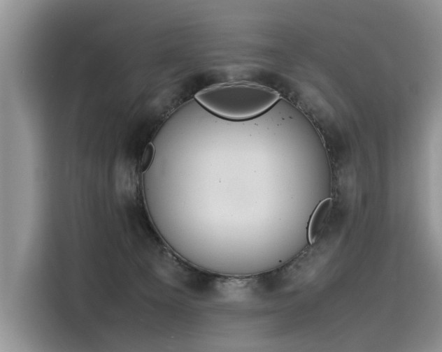 X0000116100129200911301110