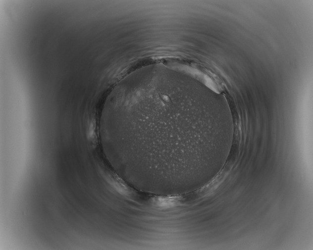 X0000116100134200911301110