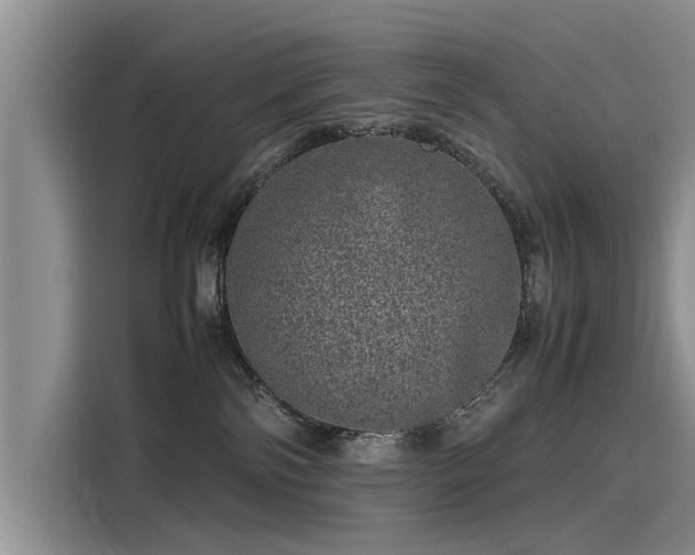 X0000116100138200911301110