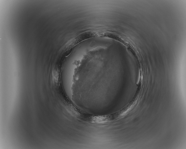 X0000116100139200911301110