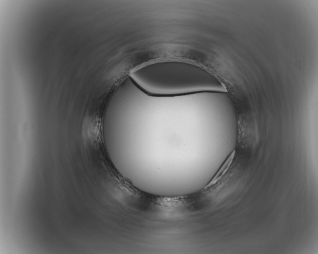 X0000116100141200911301110