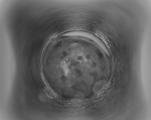 X0000116100145200911301109