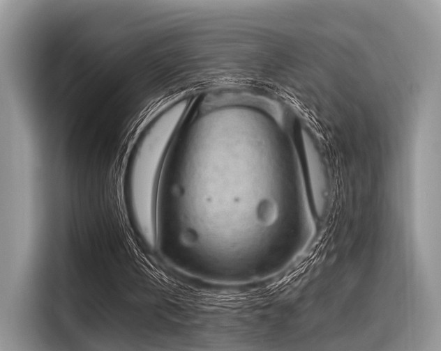 X0000116100146200911301109