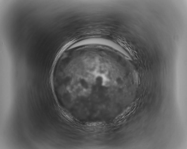 X0000116100147200911301109