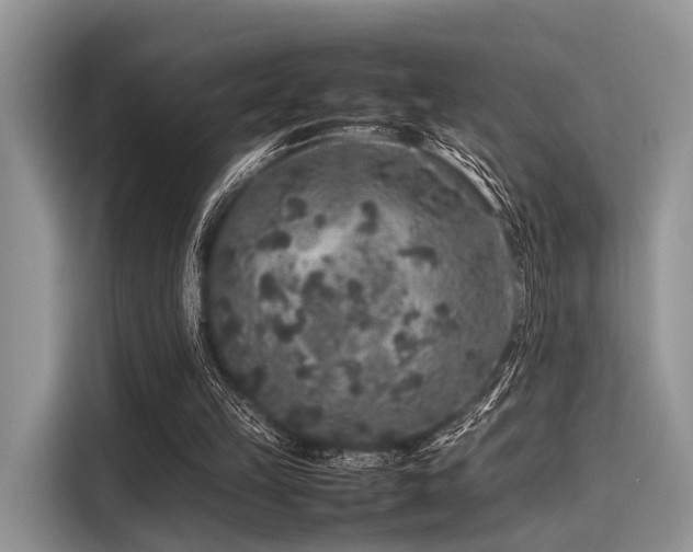 X0000116100149200911301109