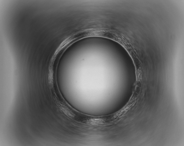 X0000116100150200911301109